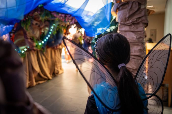 Fairy Walk 2024