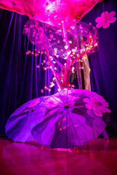 Fairy Walk 2025